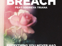 Breach Everything You Never Had