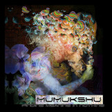 mumukshu finding meaning in nothing