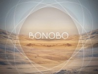 bonobo mjc remix