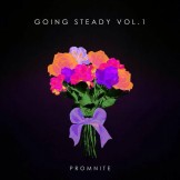 PromNite Going Steady Vol. 1 Free Download